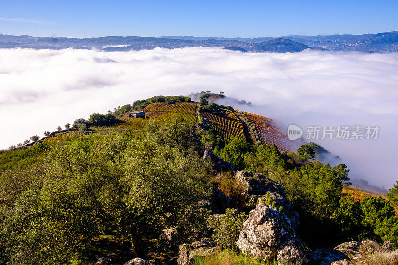 São Leonardo da Galafura在杜洛山谷的视角，雾使你看不到杜洛河